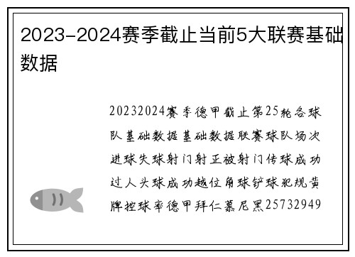 2023-2024赛季截止当前5大联赛基础数据